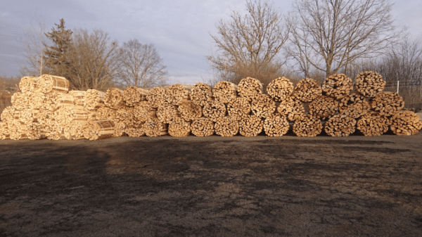 Palivové dřevo smrk metrové štěpiny v balíkách