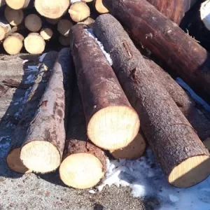 Smrk kulatina palivové dřevo